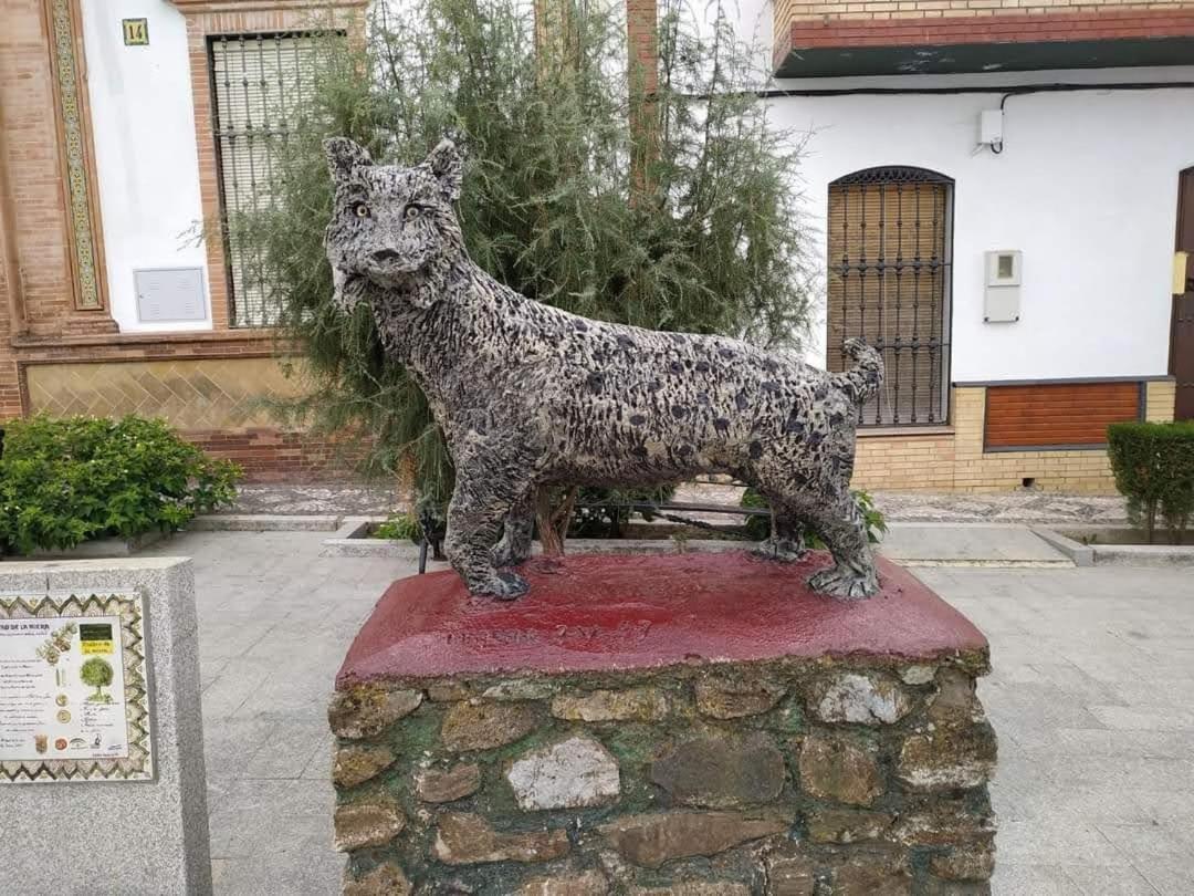 Alojamiento Rural An Ca La Abuela Pilar El Real de la Jara Dış mekan fotoğraf